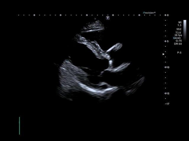 84b9ay0oxwdartigbfiui6y21zw7dmqq