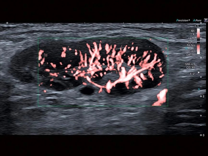 e2c8b4aym9svr67wrhe7cai7gj22v9b8