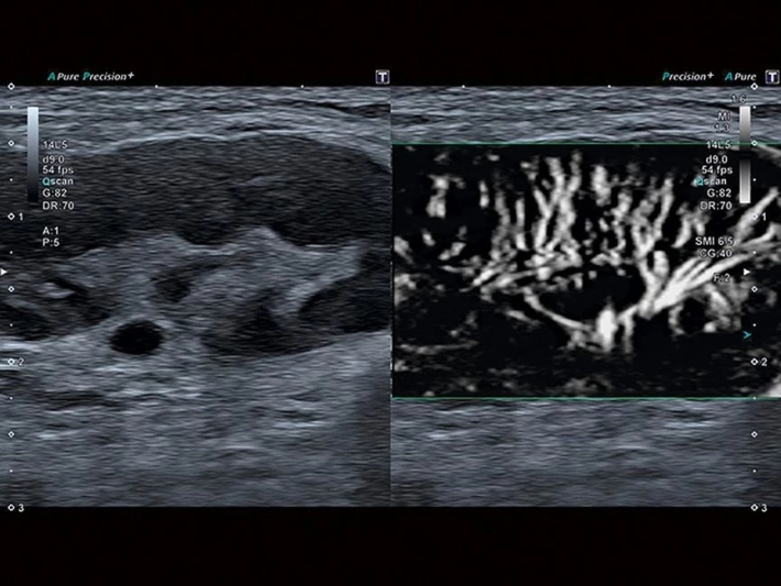 g9ck1nrmx7pmlh9c3pvx1jj33qs2a29b