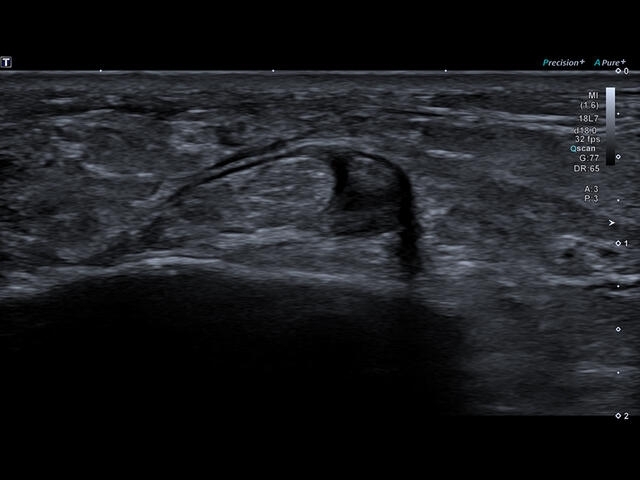 hse8z6uecu1xv4cogjghasadwv08li0g