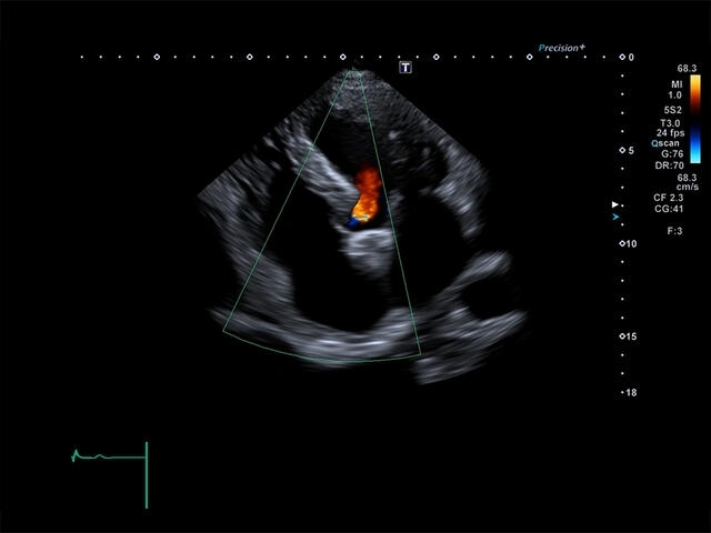 l1k5wm3u3o72rnkrwluas7vidaywlo4s