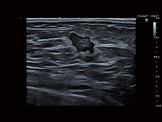 k5qnf52eeiiwpa1z7wobyi5lp4f4id9y