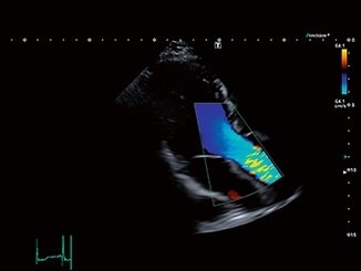 l63qrdiclr4vdya195ue1gex7rjt3g9u