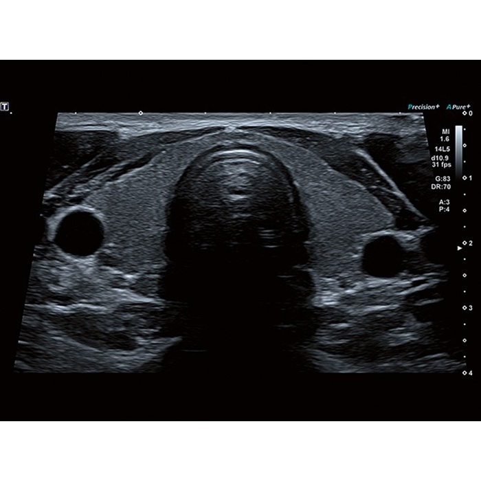 uf1u9p7j4ir379qxarakjcj2t22dp81k