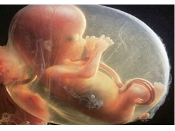 585s9qy16hflil840k8uoqqwqbants41