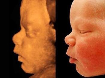 dk99jm27xgpw07jn22w3a780309gocax