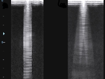 9e9lo1wog0qhw5f5qbk62z3vjxfrjabn