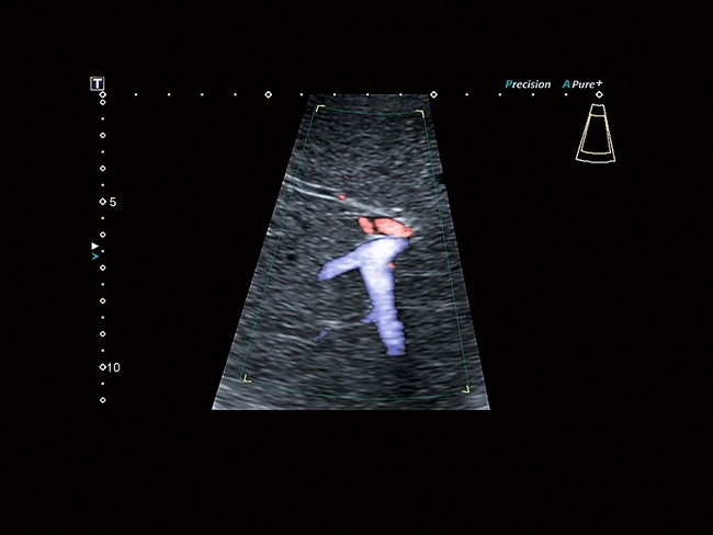 636674080401255478CN