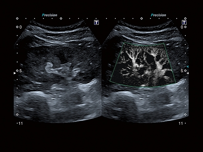 636674080419194747PI