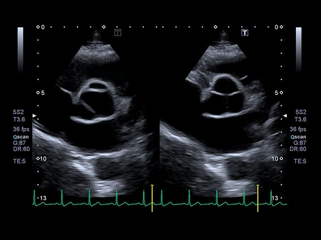 c2x8sp62kj6nzr3orw57oshl1eln65eg