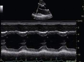 yba7ye8764ffb9n3v1y2twblifcvuf0z