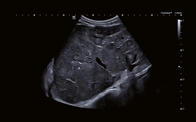 1n1ugi4n4dyjqwqeivprpx6hko9gbtqh