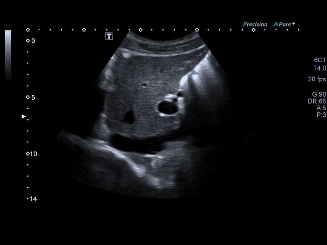 kv9whgm6mce5kpo2g176a0wubsm6mogv