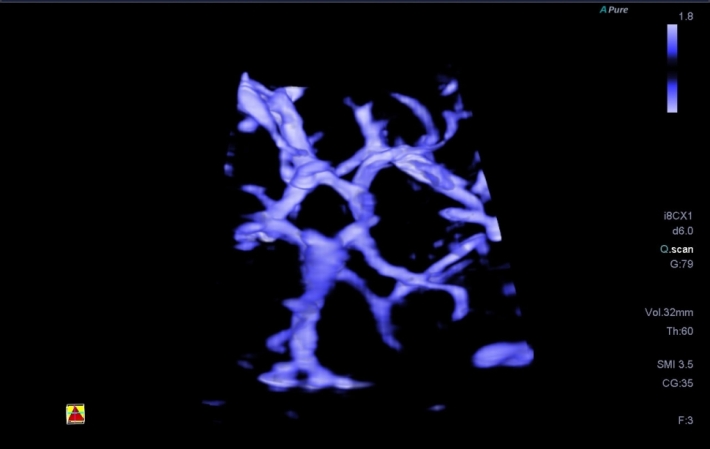 gj1bkvo1gseywy6lzxf4m6id4r6oksh0