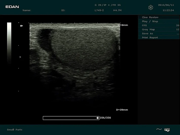 DUS60 L743-2  (3)_result