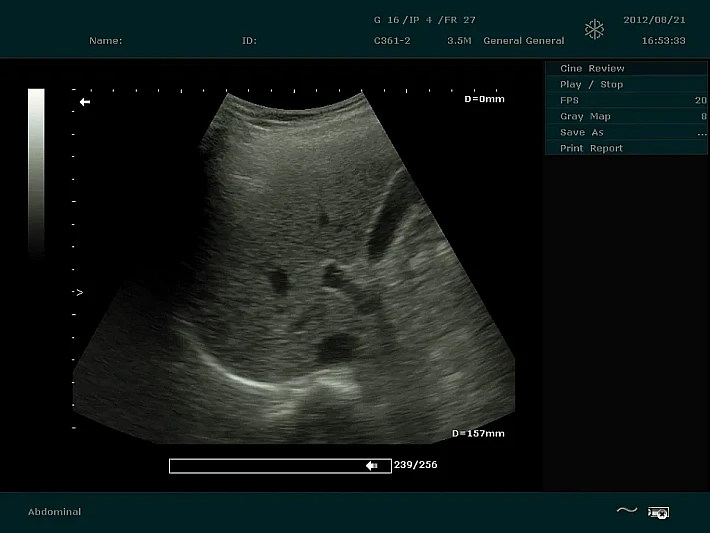 DUS60 C361-2 (1)_result