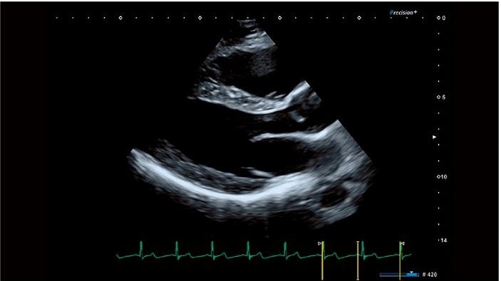 wv4bmqqd4azj1o7rvkm93xynsmmnnql7