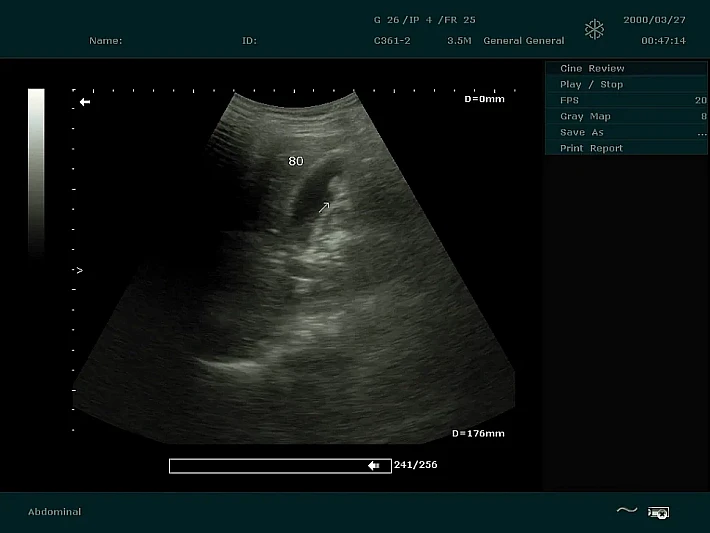 DUS60 C361-2 (8)_result