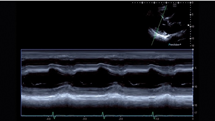 8dn90vx2q6sgw8mouruiewi013tnuehz