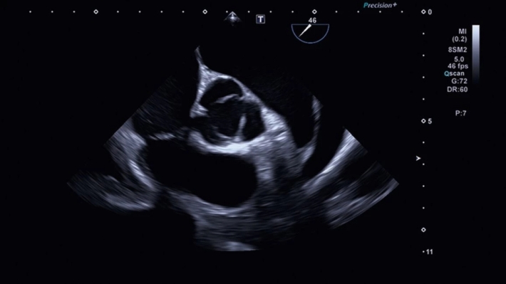 fhaw02ufqrdehr8lqyuk1ug2sxvhcgtx