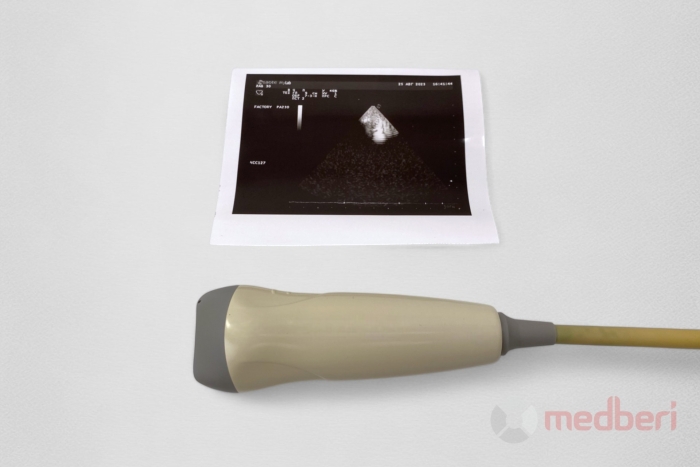 Секторный фазированный датчик Esaote PA230E (БУ)