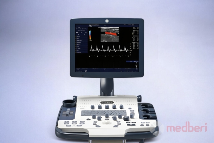 УЗИ аппарат General Electric Logiq V5