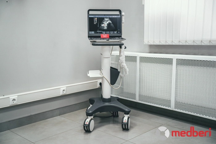 УЗИ аппарат SonoScape E1 Vet